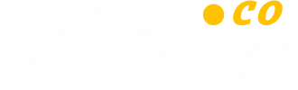 xwin bet logo